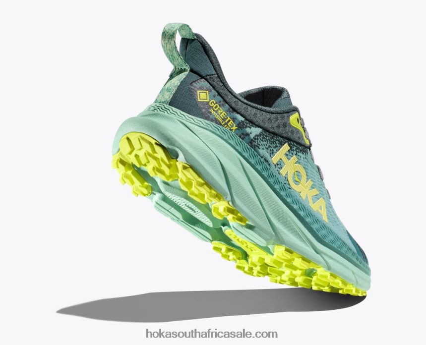 Women Challenger 7 GTX Hoka 0TNRBJ94 Trellis/Balsam Green